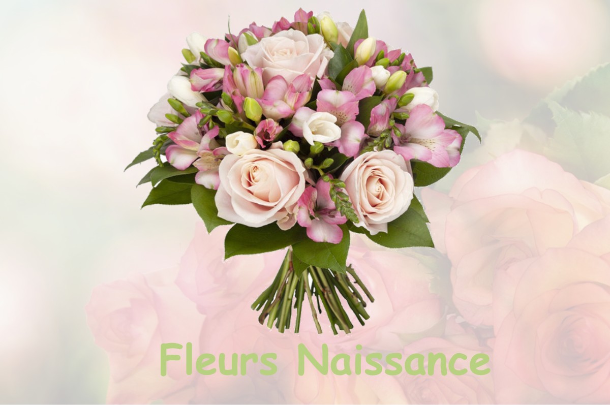 fleurs naissance COMMENAILLES