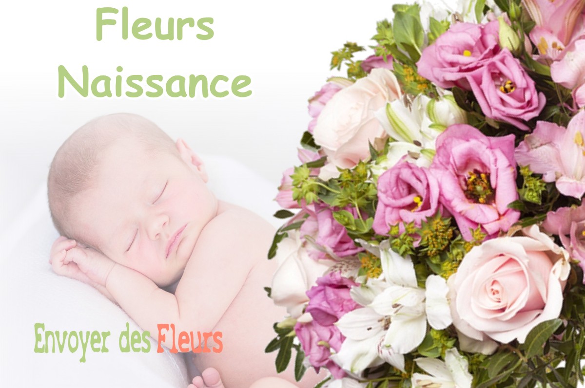 lIVRAISON FLEURS NAISSANCE à COMMENAILLES